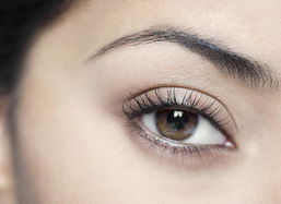 提眉术的手术方法