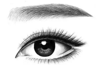 眉毛缺损怎么办