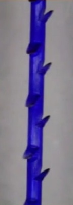 双侧反向倒勾线