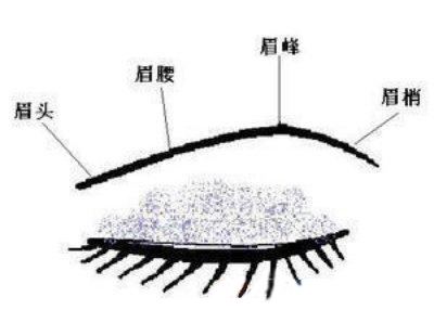 八字眉不好看？切眉术or提眉术总有一款适合你