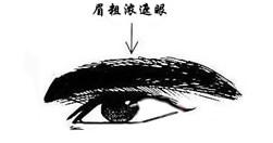 眉毛压目